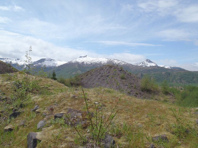 2011Jun06_Mt_St_Helens__138