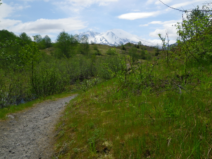 2011Jun06_Mt_St_Helens__146