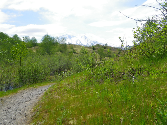 2011Jun06_Mt_St_Helens__147