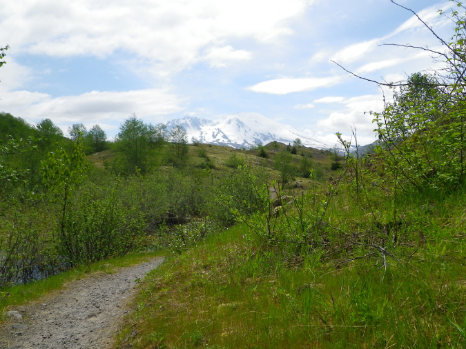 2011Jun06_Mt_St_Helens__148