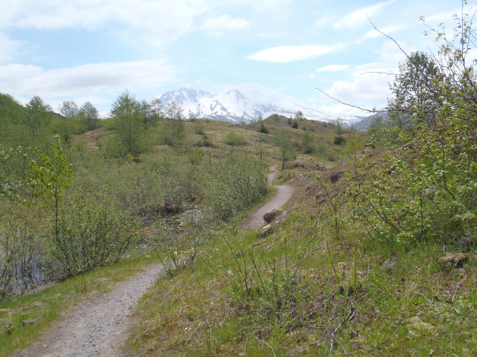 2011Jun06_Mt_St_Helens__149