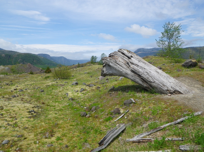 2011Jun06_Mt_St_Helens__150