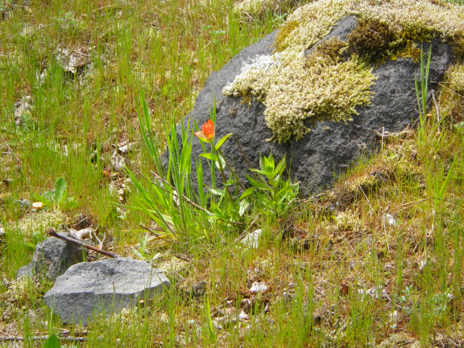 2011Jun06_Mt_St_Helens__153