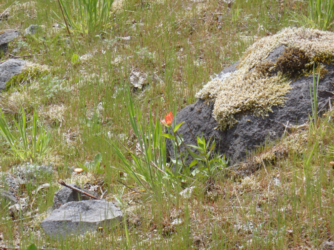 2011Jun06_Mt_St_Helens__154