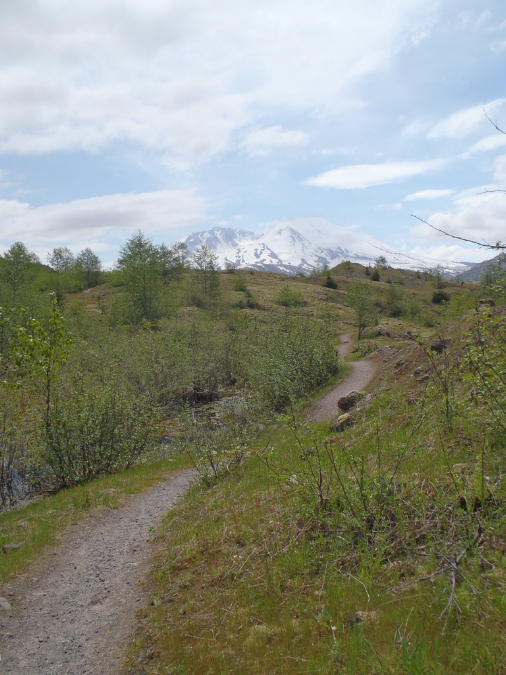 2011Jun06_Mt_St_Helens__158