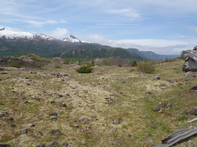 2011Jun06_Mt_St_Helens__159