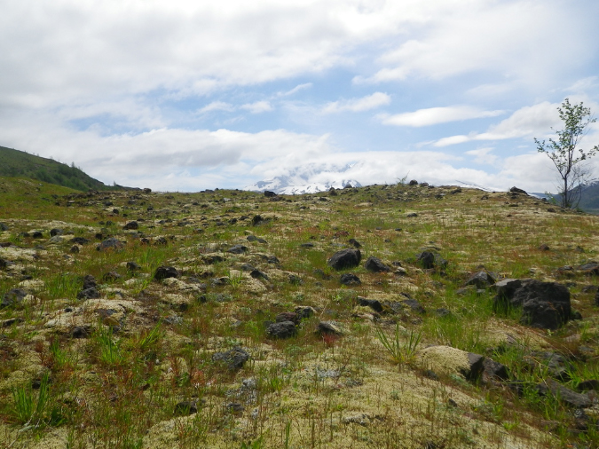 2011Jun06_Mt_St_Helens__165