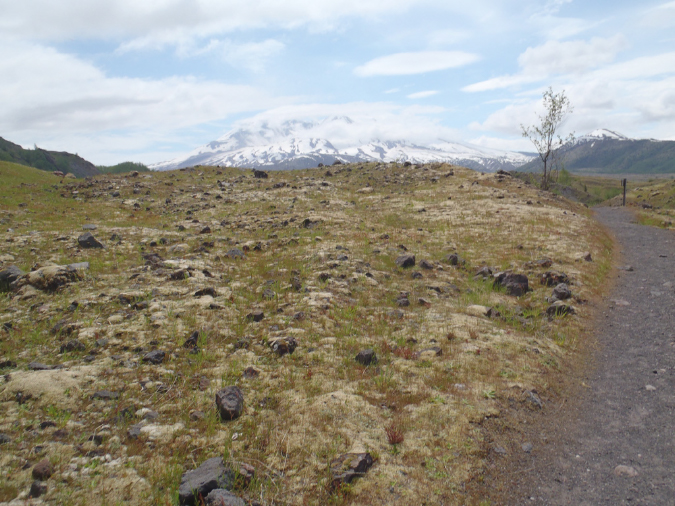 2011Jun06_Mt_St_Helens__166