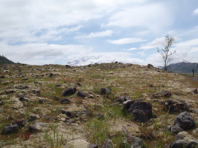 2011Jun06_Mt_St_Helens__167
