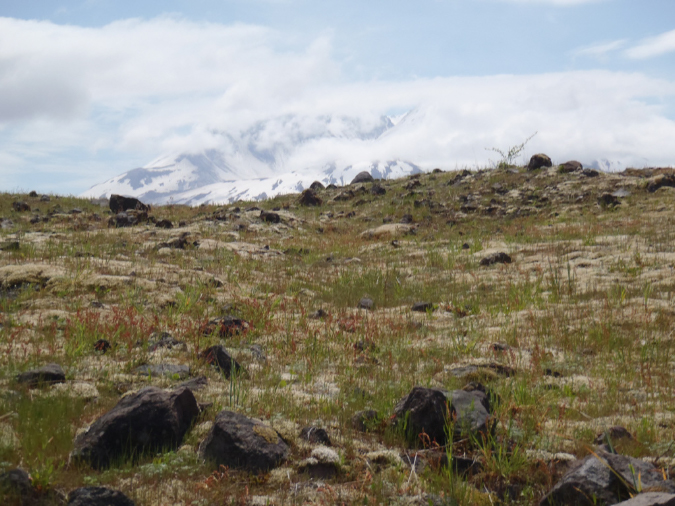 2011Jun06_Mt_St_Helens__168
