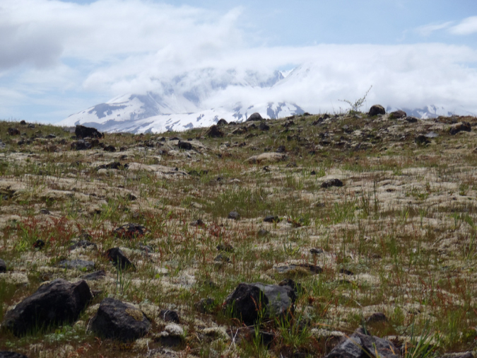 2011Jun06_Mt_St_Helens__169