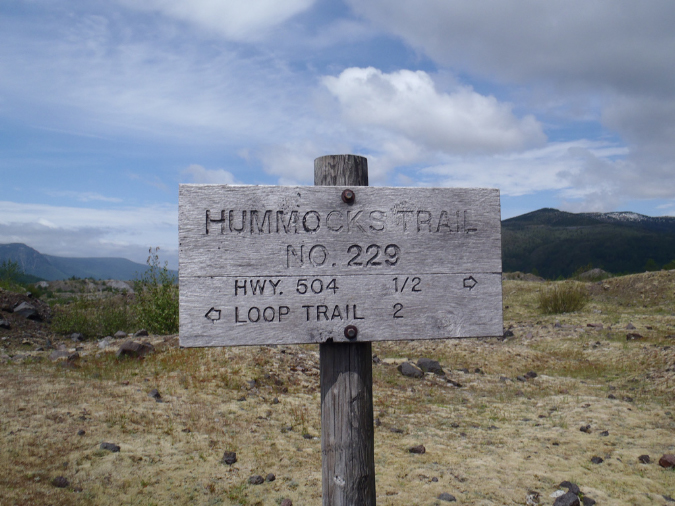 2011Jun06_Mt_St_Helens__188