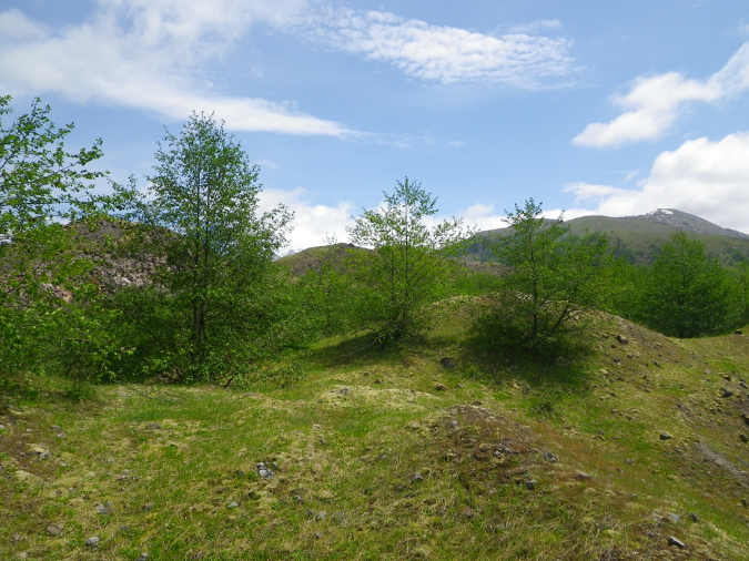 2011Jun06_Mt_St_Helens__197