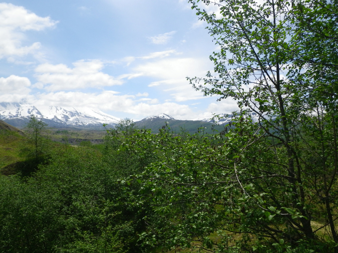 2011Jun06_Mt_St_Helens__198