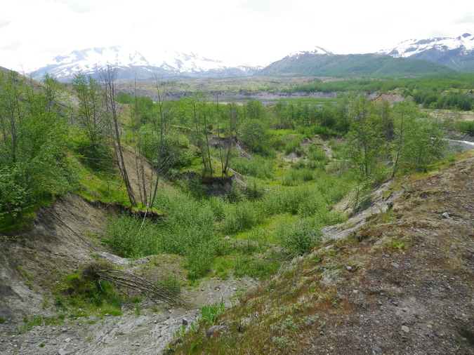2011Jun06_Mt_St_Helens__201