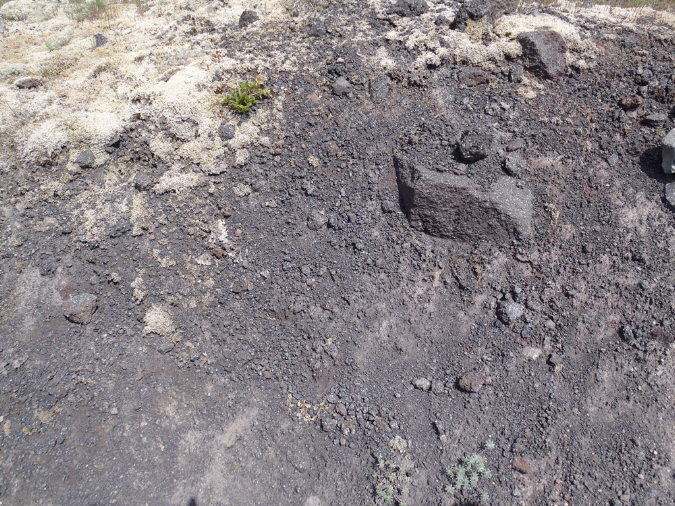2011Jun06_Mt_St_Helens__203