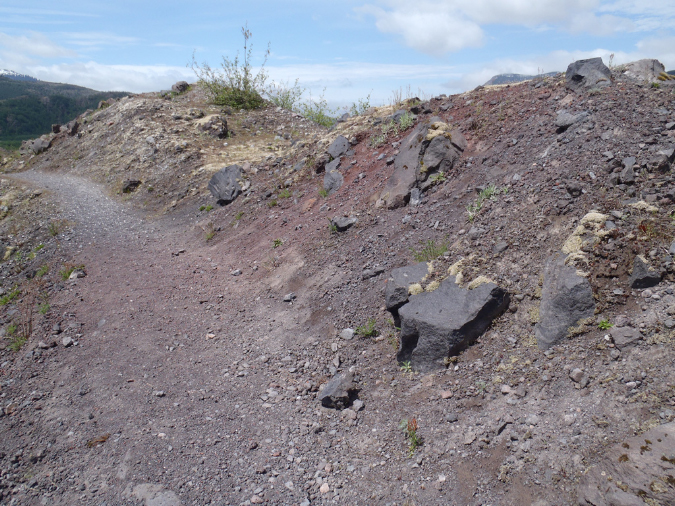 2011Jun06_Mt_St_Helens__205