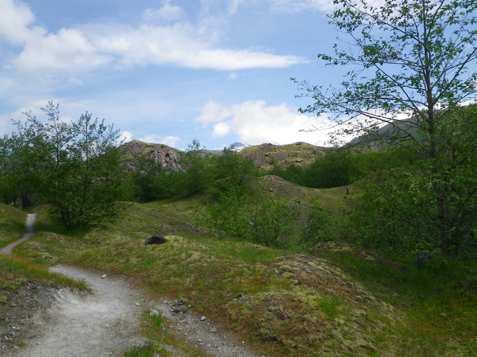 2011Jun06_Mt_St_Helens__210