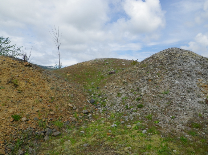 2011Jun06_Mt_St_Helens__211