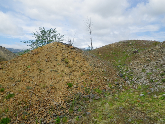 2011Jun06_Mt_St_Helens__212