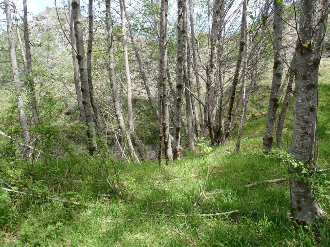 2011Jun06_Mt_St_Helens__223