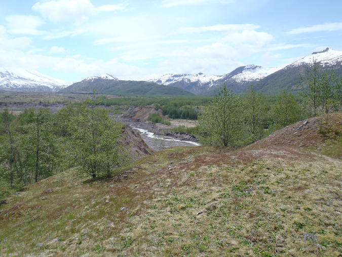 2011Jun06_Mt_St_Helens__230