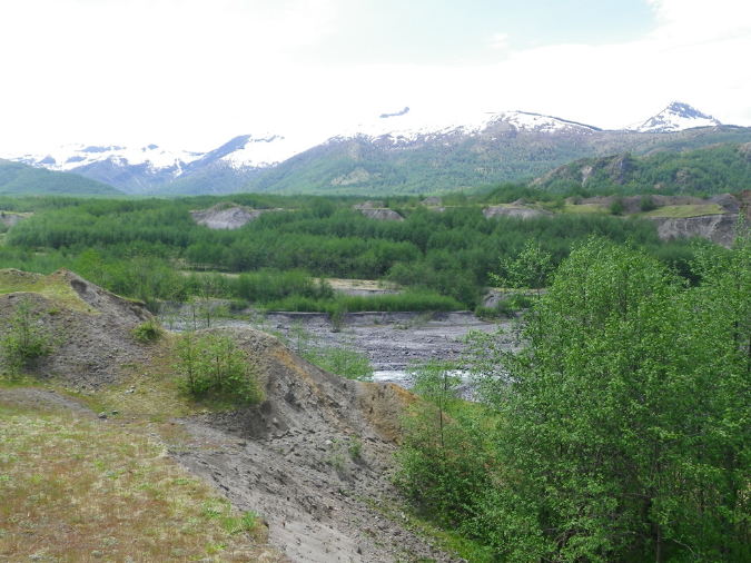 2011Jun06_Mt_St_Helens__233