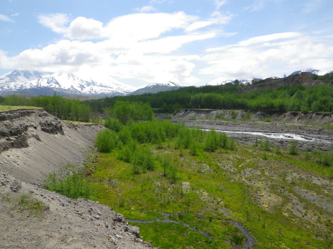 2011Jun06_Mt_St_Helens__245