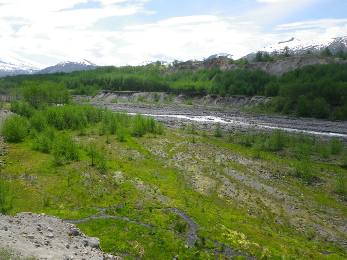 2011Jun06_Mt_St_Helens__248
