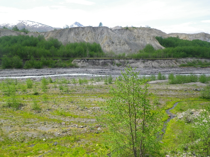 2011Jun06_Mt_St_Helens__249