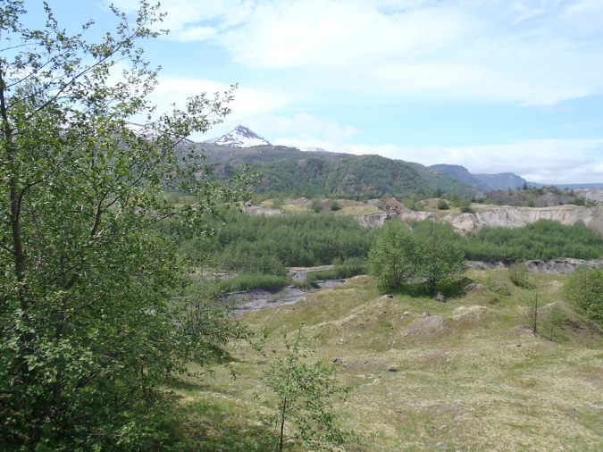 2011Jun06_Mt_St_Helens__261