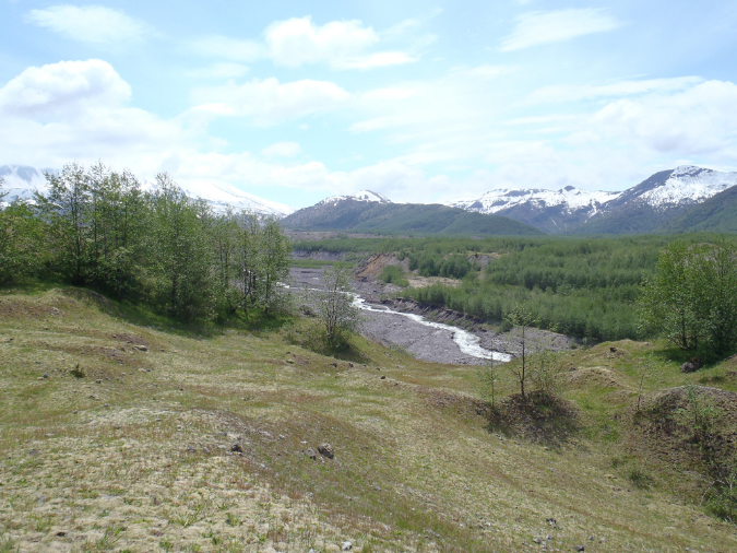 2011Jun06_Mt_St_Helens__262
