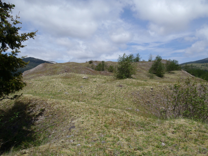 2011Jun06_Mt_St_Helens__265
