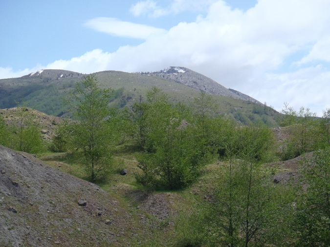 2011Jun06_Mt_St_Helens__277