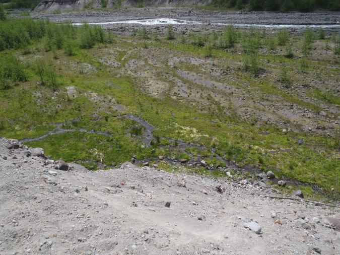 2011Jun06_Mt_St_Helens__284