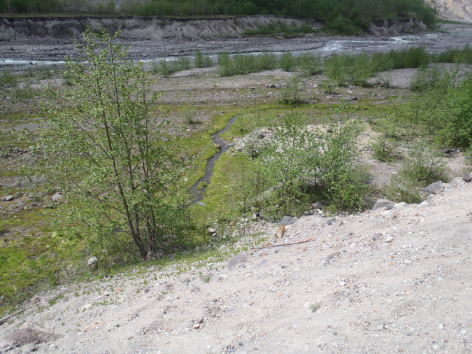 2011Jun06_Mt_St_Helens__285