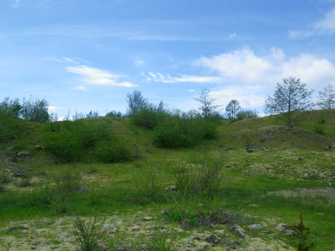 2011Jun06_Mt_St_Helens__289