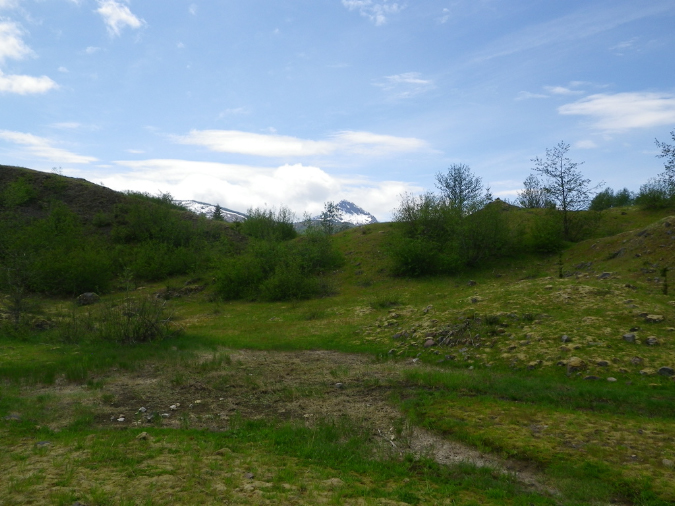 2011Jun06_Mt_St_Helens__293