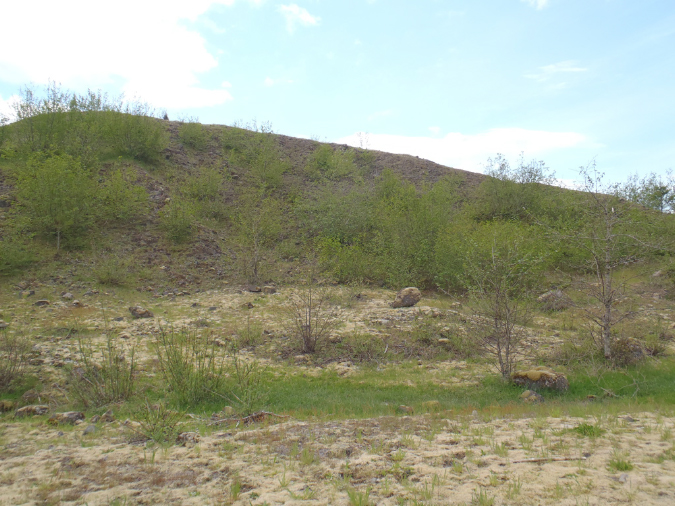 2011Jun06_Mt_St_Helens__306