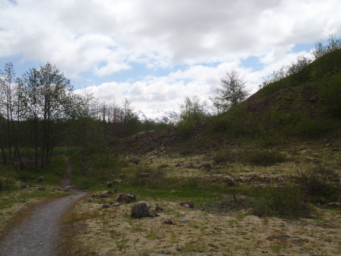 2011Jun06_Mt_St_Helens__307