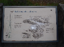 2011Jun06_Mt_St_Helens__001
