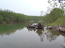 2011Jun06_Mt_St_Helens__007