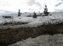2011Jun06_Mt_St_Helens__032