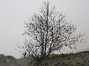 2011Jun06_Mt_St_Helens__065