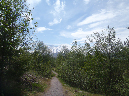 2011Jun06_Mt_St_Helens__105