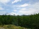 2011Jun06_Mt_St_Helens__114