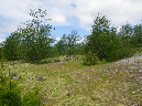 2011Jun06_Mt_St_Helens__117