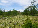 2011Jun06_Mt_St_Helens__119