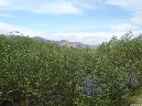 2011Jun06_Mt_St_Helens__120