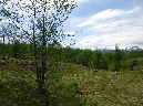 2011Jun06_Mt_St_Helens__122